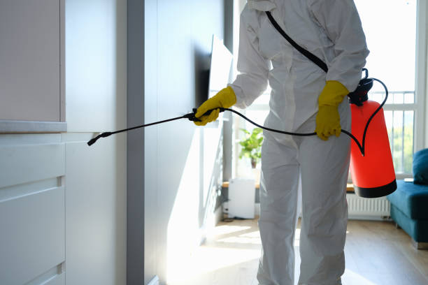 Best Residential Mold Removal  in North Brooksville, FL